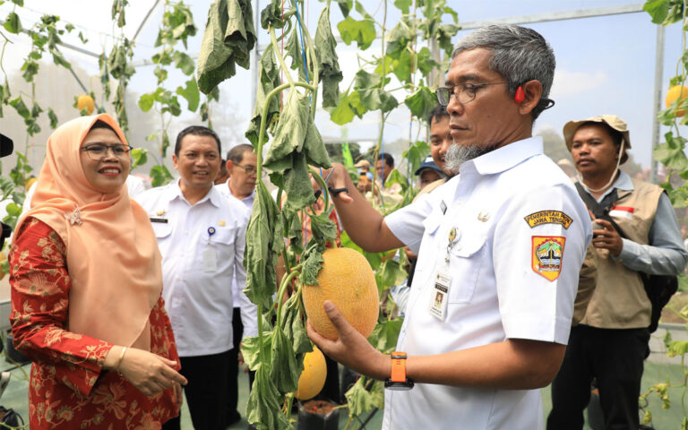 270 Stan dan Display Inovasi Ramaikan Jateng Agro Innovation Expo 2024