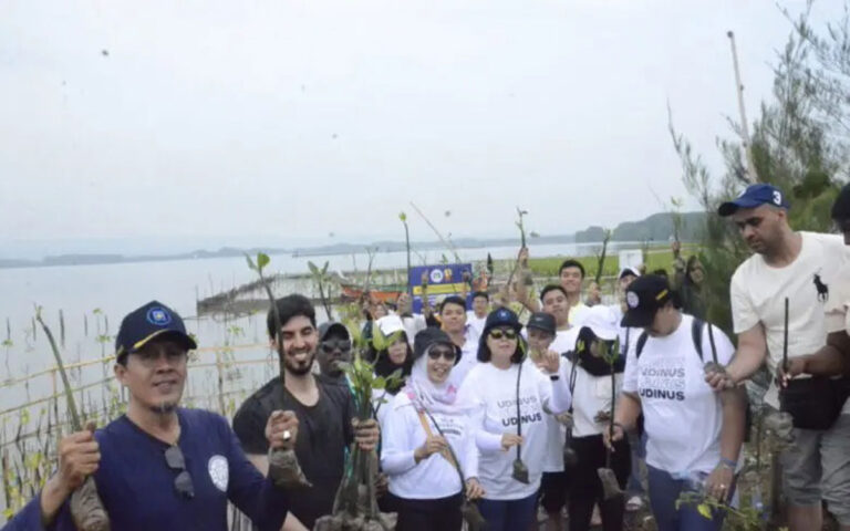 Cegah Abrasi, Udinus Lakukan Penanaman 4.500 Mangrove di Mangunharjo