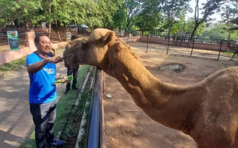 Cawali Kota Semarang Yoyok Sukawi Dorong Inovasi Wisata Lokal