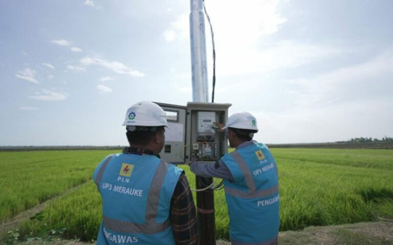 Sepanjang 2024 Electrifying Agriculture PLN Raih 53.539 Pelanggan Baru