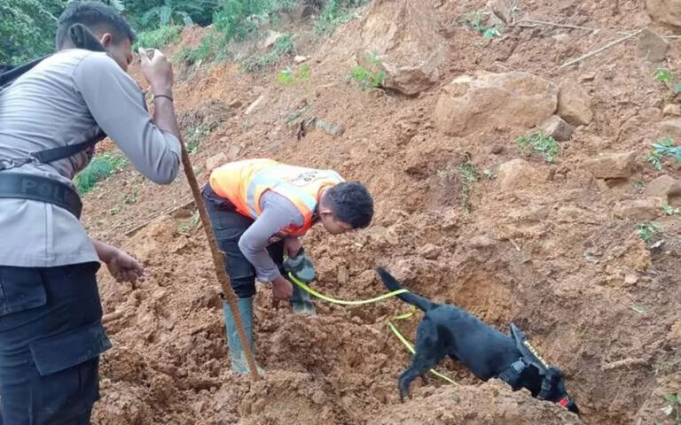 Polda Jateng Terjunkan Anjing Pelacak Cari Korban Longsor di Pekalongan