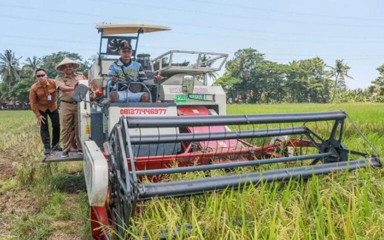 Produksi Padi Jateng 2024 Sumbang 17% Kebutuhan Pangan Nasional
