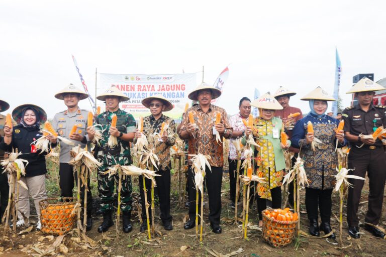 Nana Minta Panen Jagung Dijadikan Motivasi Swasembada Pangan