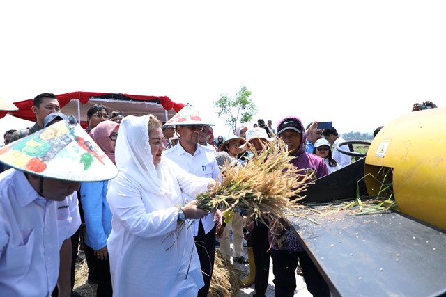 Pemkot dan PGN Kolaborasi Kembangkan Lahan Salin di Kawasan Pesisir 