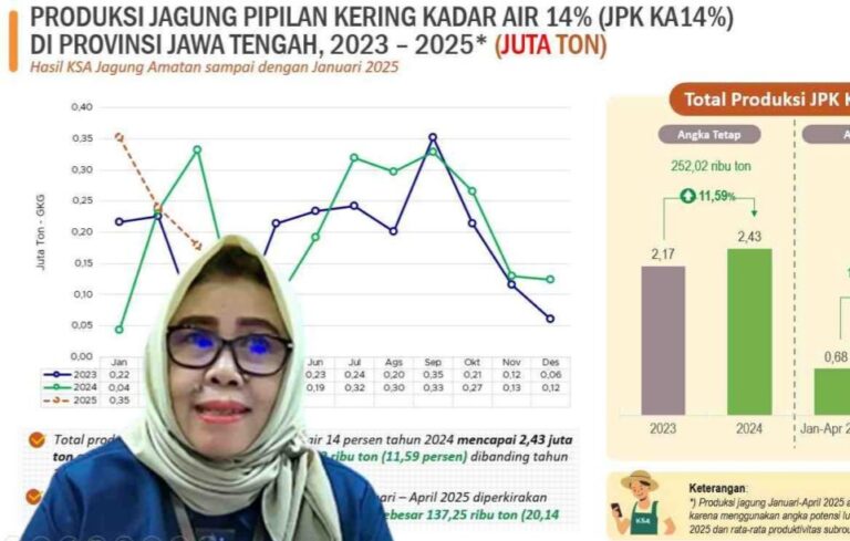 Produksi Jagung di Jateng Sepanjang 2024 Meningkat