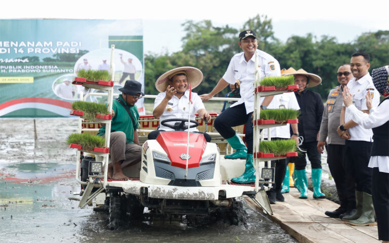 Jelang Kemarau, Luthfi Genjot Penanaman Padi Seluas 250.000 Hektare