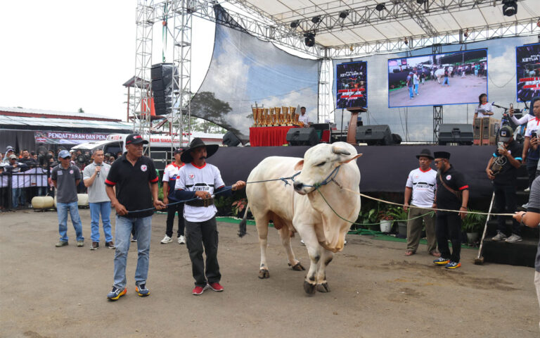 Kontes dan Expo Sapi, Penanda Jateng Jadi Lumbung Ternak Nasional