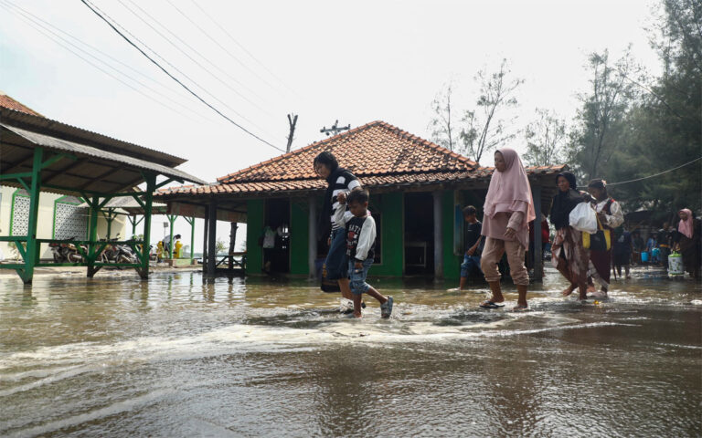 Penanaman Mangrove, Harapan Warga Pemalang Terbebas dari Abrasi dan Rob