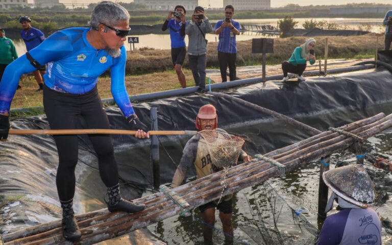 Jateng Hasilkan 3,1 Ton Udang Vaname di Tambak Kawasan Industri