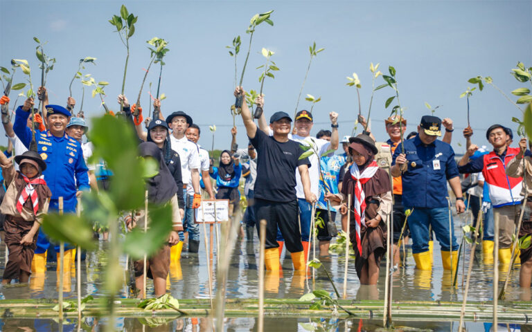 Galakkan Gerakan Mageri Segoro, Luthfi Tanam 1,5 Juta Mangrove