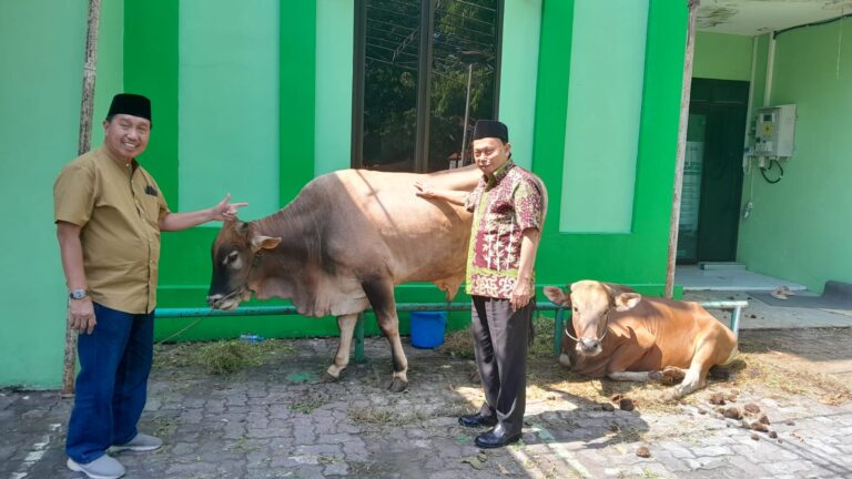 Lazisnu Jateng Sembelih dan Bagikan Daging Hewan Kurban Presiden Prabowo