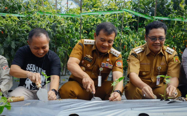 Antisipasi Kelangkaan Cabai, Pemprov Jateng Bantu Petani Lewat Kredit Murah dan CSR
