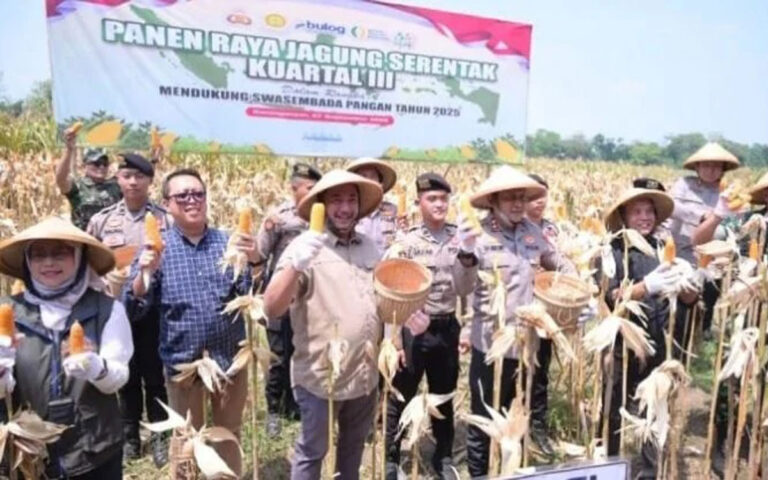 Bulog Bersama Polda Jateng Gelar Panen Raya Jagung di Karanganyar