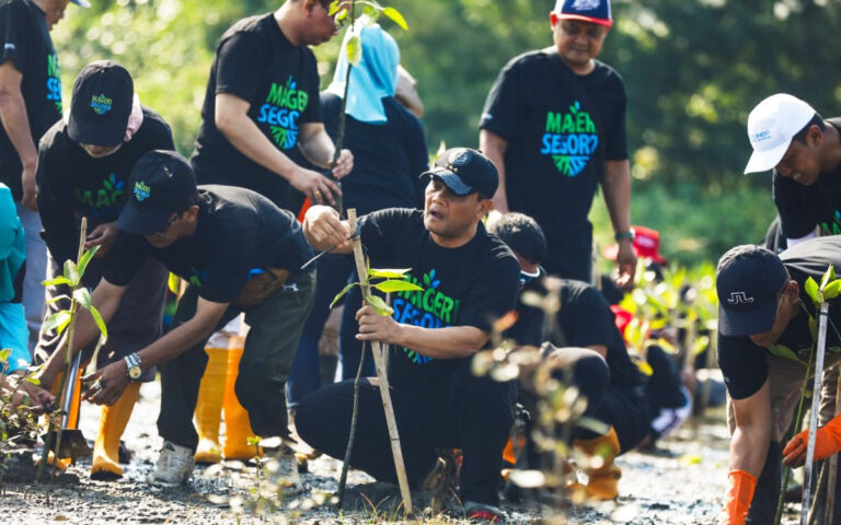 Penanaman Jutaan Bibit Mangrove Secara Serentak, Catatkan Rekor Muri
