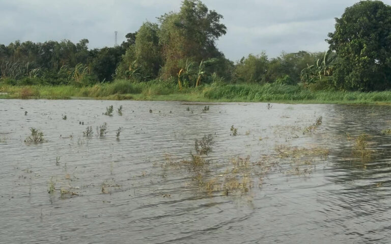 Klaim Asuransi Petani Terdampak Banjir Sudah Diajukan, Tinggal Validasi dan Realisasi