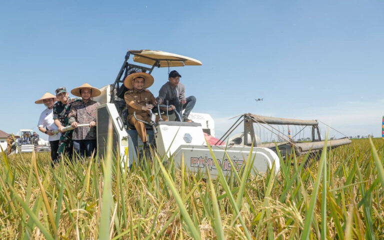 Produksi Padi di Jateng 2026 Diperkirakan Naik 5,5%