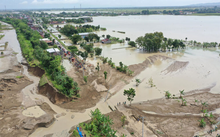 Ribuan Hektare Sawah di Wilayah Grobogan Terendam Banjir
