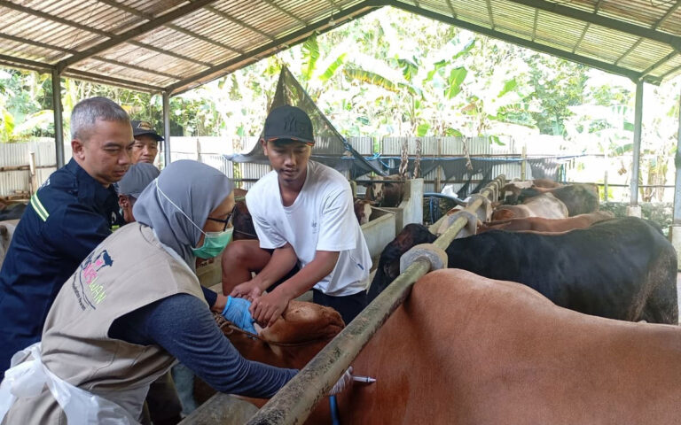 Pemprov Jateng Gencar Lakukan Healing, Layanan Kesehatan Hewan Gratis