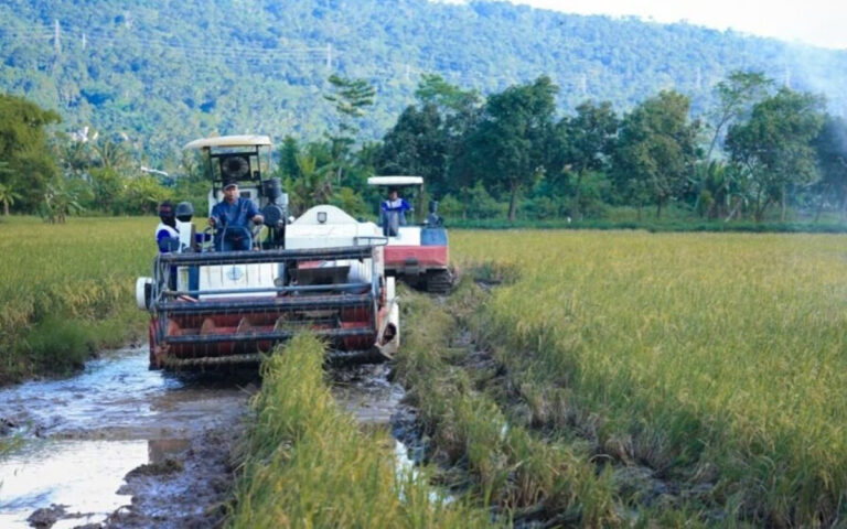 Jateng Semakin Serius Menuju Swasembada Pangan