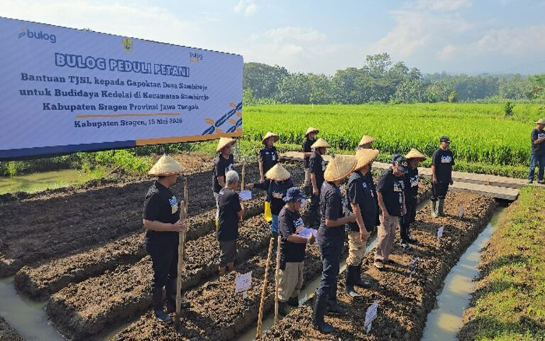 Bulog Dukung Pengembangan Budidaya Kedelai Unggul