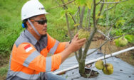 SBI Raih Penghargaan Good Mining Practice Award Jateng 2026