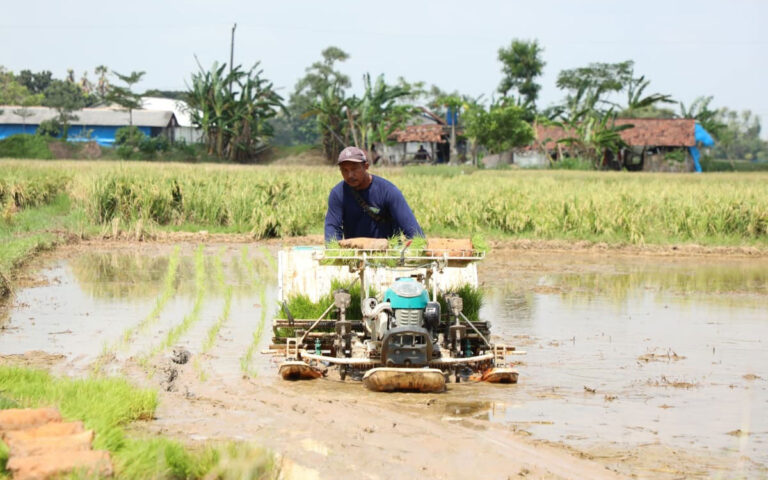 Dibantu Alsintan, Petani Rembang Optimistis Bisa Tanam Padi Tiga Kali Setahun