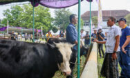 Upaya Pemprov Jateng Pastikan Kesehatan Hewan Kurban Iduladha 2026