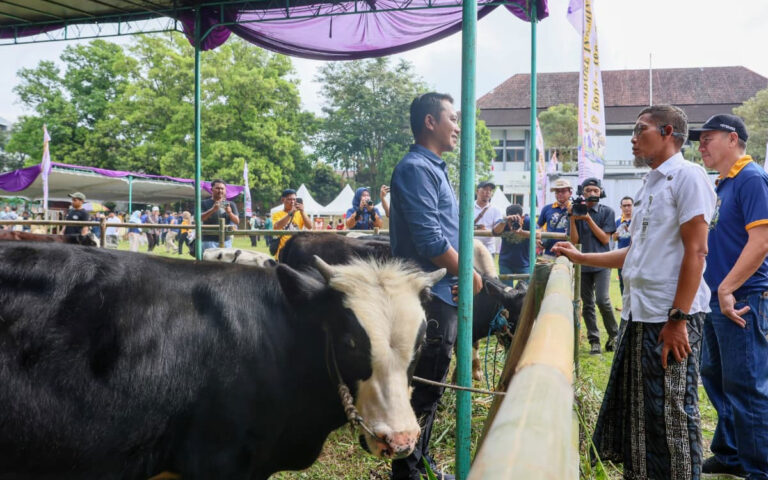 Upaya Pemprov Jateng Pastikan Kesehatan Hewan Kurban Iduladha 2026