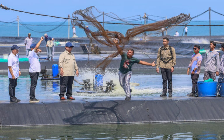 Prabowo Didaulat Ikut Panen Raya Udang Berbasis Kawasan