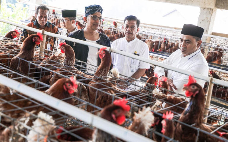 Seluruh OPD Jateng Diminta Contek Model Pengembangan Desa Kranggan Klaten