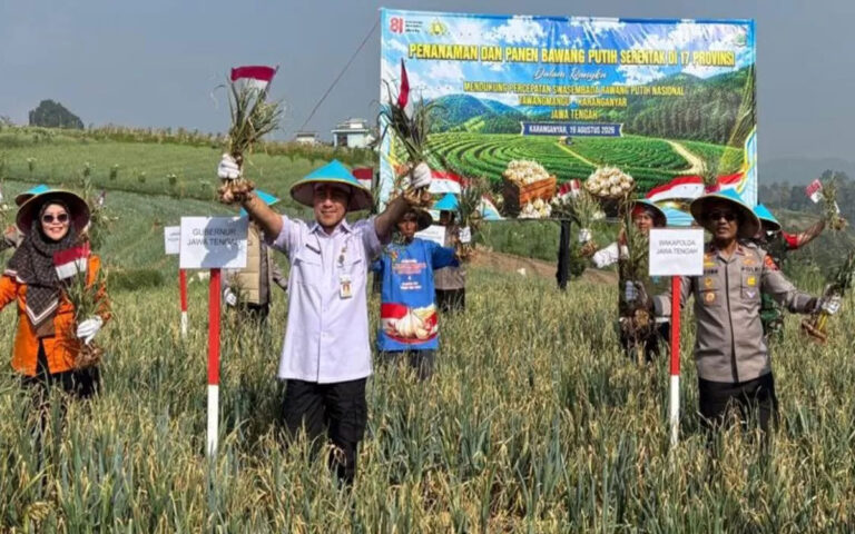 Wakapolda Jateng Pimpin Panen Bawang Putih Sebanyak 1,25 Ton di Tawangmangu