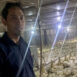 Inovasi eBro Undip, Teknologi Peternakan Ayam Broiler Berbasis Internet